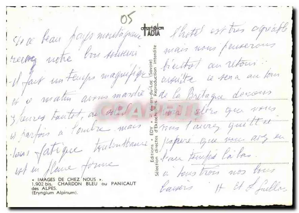 Cardo Azul ou Panicaut — Edições diretas de Ektaachrom (Savoie) — n° 1.902 bis - Verso