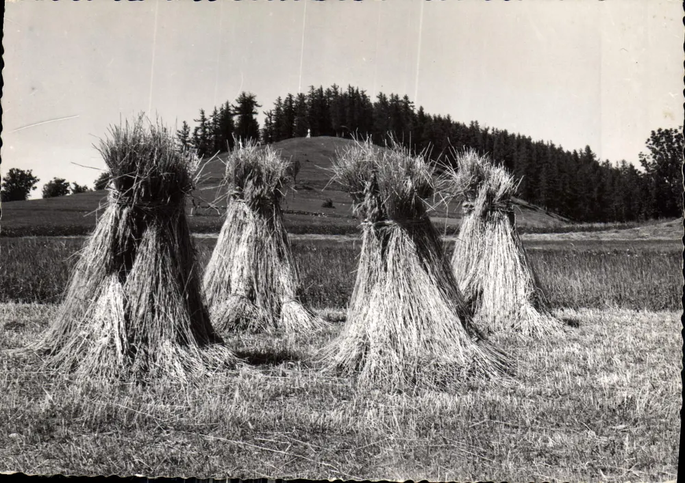 Landschaftsszene — Albiez-le-Jeune (Savoie) — Editions Maurice Dufour - Vorderseite
