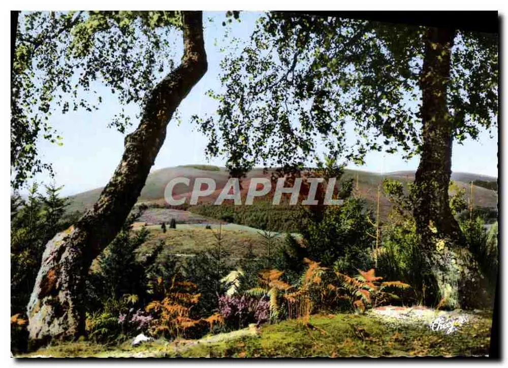 Landschaft in Corrèze — Les Monédierès — Éditions Théojac - Vorderseite
