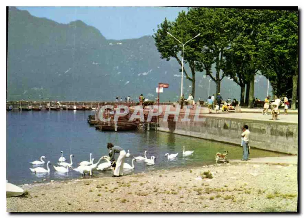 Aix-les-Bains — Der kleine Hafen und seine Schwäne — Antike Ansichtskarte n°112 - Vorderseite