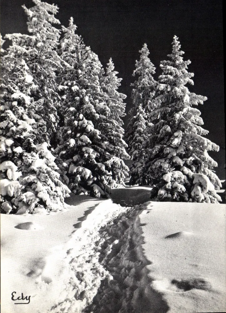 Schneepfad — Verlag Edy, Nr. 7317 - Vorderseite