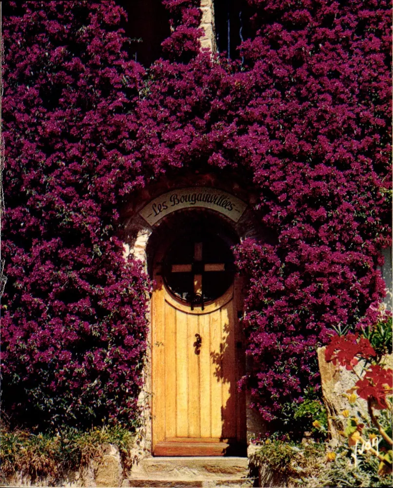 Die Bougainvillées — Holztür unter einem Massen von violett blühenden Pflanzen — Éditions d'Art Jean-Jaurès - Vorderseite