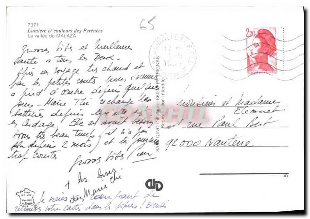 Blühende Blumen — Tal von Malaza — Sando Dino Diff. 6600 Perpignan - Rückseite