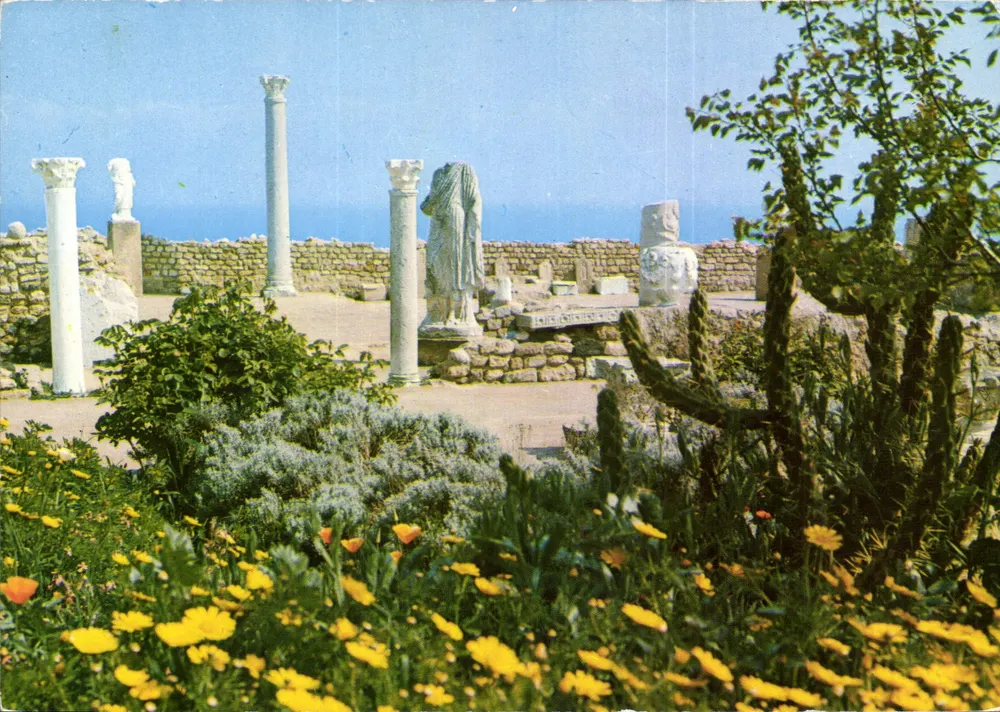 Cartago (Tunes) — Het antiquarium — Société des Couleurs Naturelles, Tunis - Voorkant