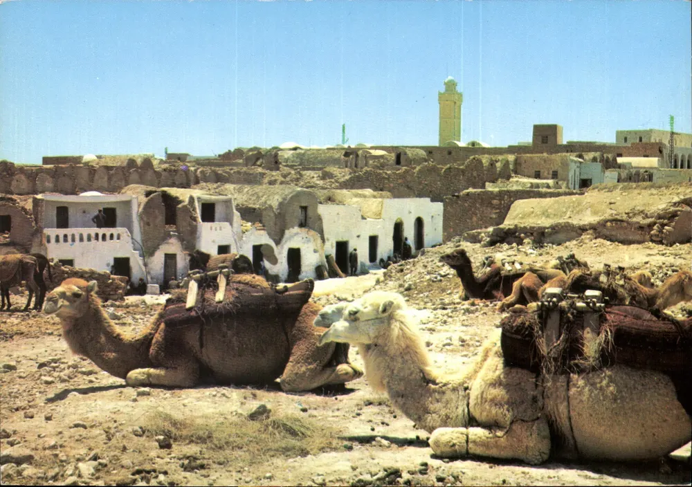Médéline (Tunísia) — aldeia desértica com camelos — editor H0103 - Frente