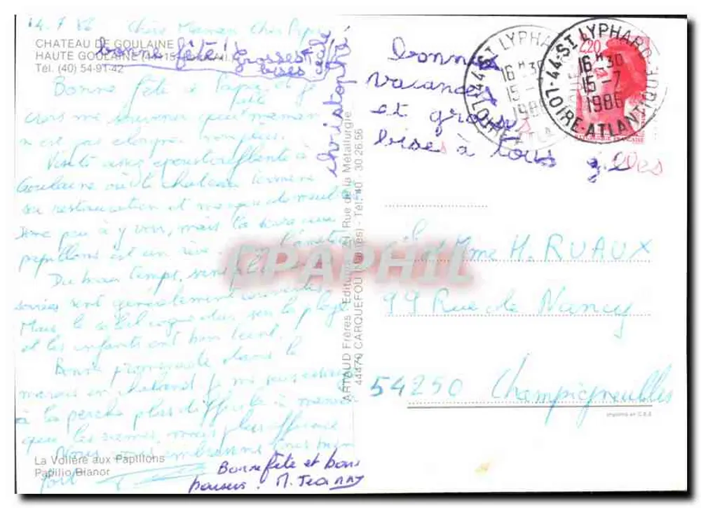 Blauer Schmetterling — auf violetten Blumen — Das Schmetterlingsgehege, Verlag: Arnaud Frères, n° 44479 - Rückseite