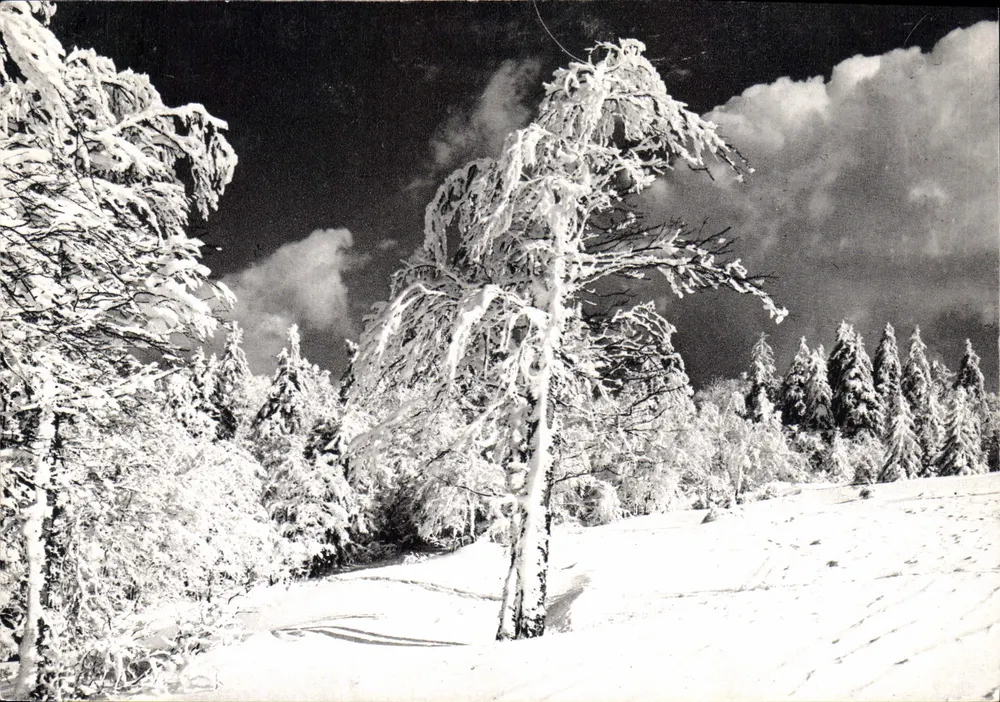 Die Vosgien unter Schnee — Editions LAGOGOE — N° 88 533 149 - Vorderseite