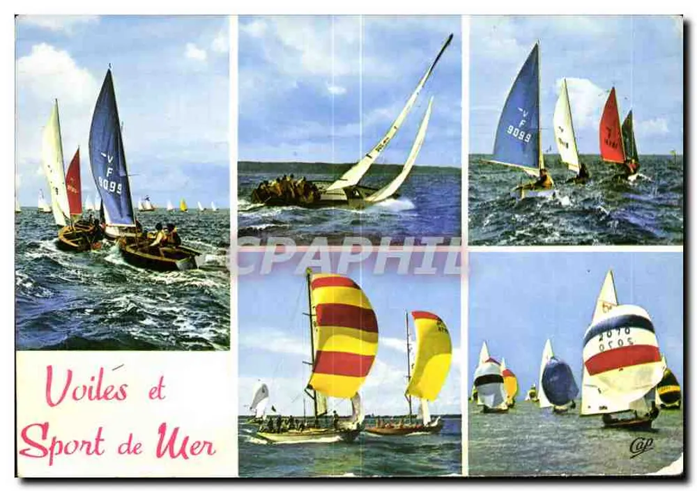 Velas e Esporte Marítimo — Cabo — editor não visível - Frente