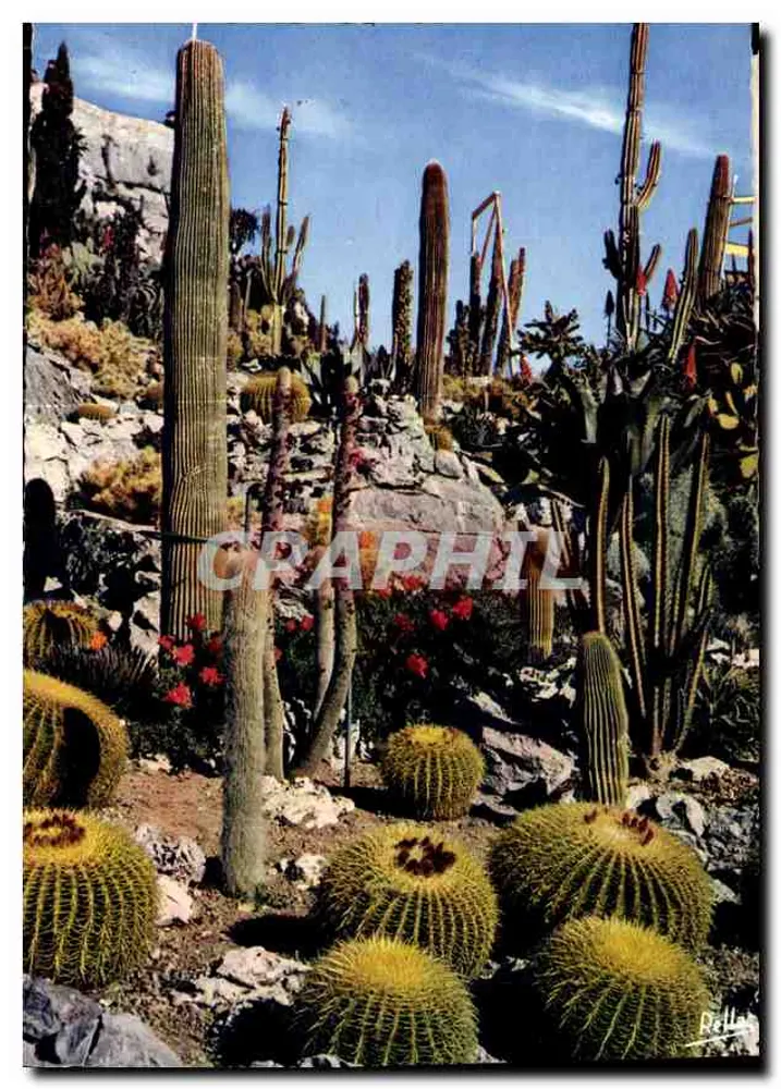 Jardim Exótico de Cavalaière — Sète d'Azur — Edição Rellacolor - Frente