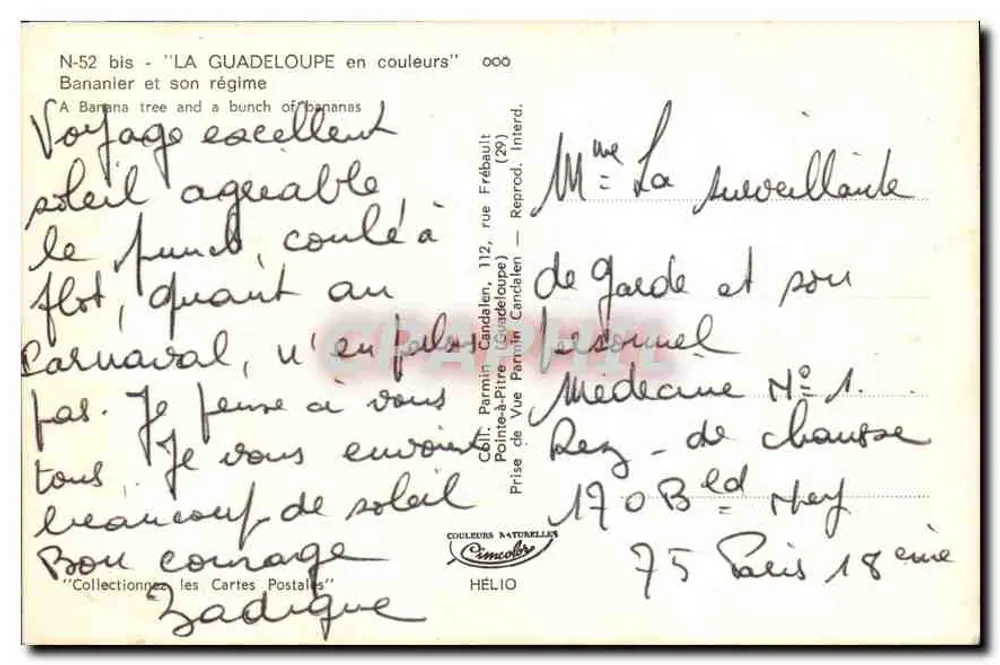 Guadeloupe — Bananenbaum und seine Traube — Candalen - Rückseite