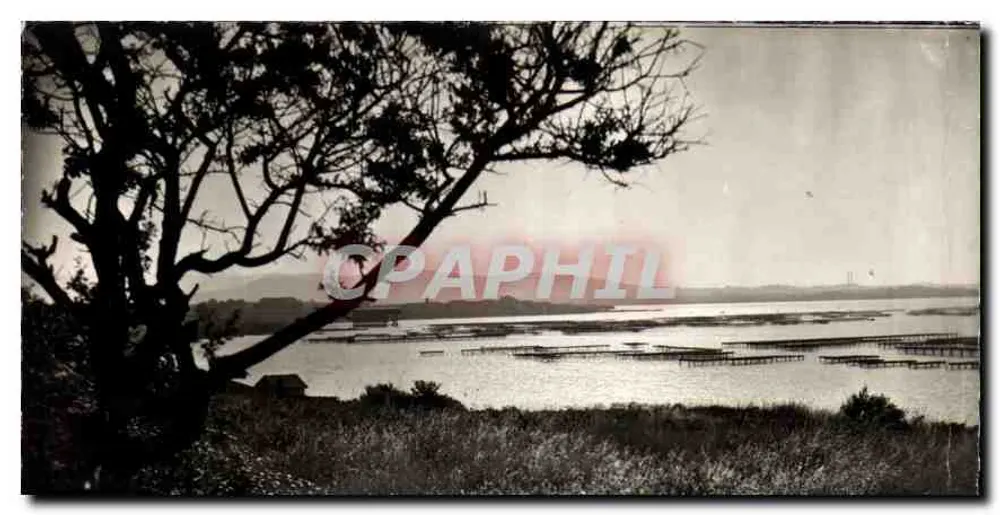 Bassins de Thau — Parcs à huîtres — éditeur non visible - Frente
