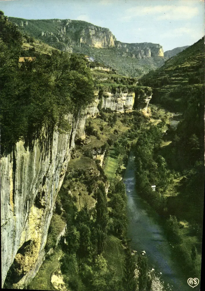 Schluchten der Jonte — Lozère — Gesellschaft der Naturpostkarten - Vorderseite