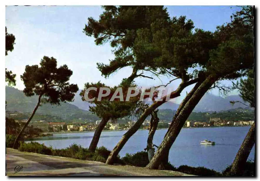 Roquebrune-Cap-Martin — View towards Carnolès and Menton — Ektacap - Front