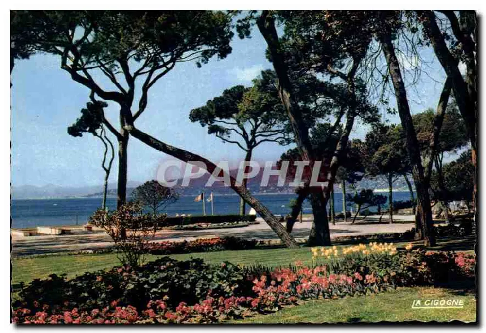 Die Storch — Die blühenden Terrassen des Casinos — Verlag: Die Storch, Monaco (Château de Milo, André Lecunet) - Vorderseite