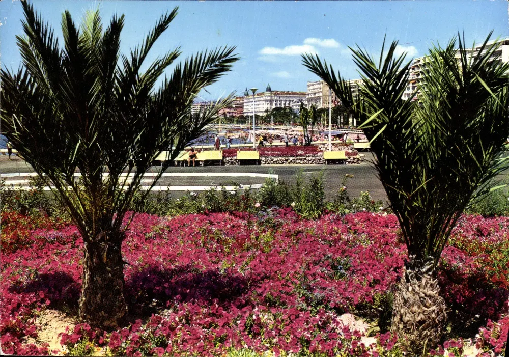 Cannes — Blühender Parterre am Port Pierre Canto — Les Éditions A.M. & Cie - Vorderseite