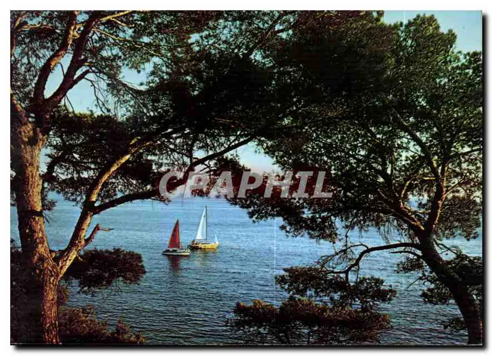 Vue de la Côte d'Azur — Un coin de la Méditerranée — Cal. 16 — Édition Y.P.A. - Recto