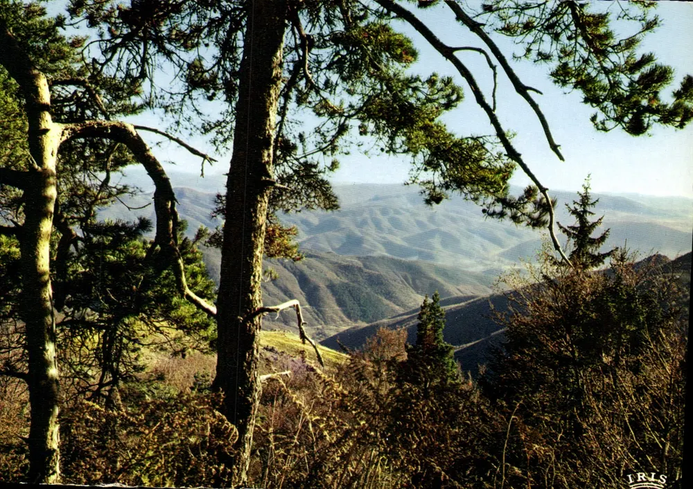 Pejzaż Cévennes — jesień — Wydawnictwo Mexichrome, Limoges - Awers