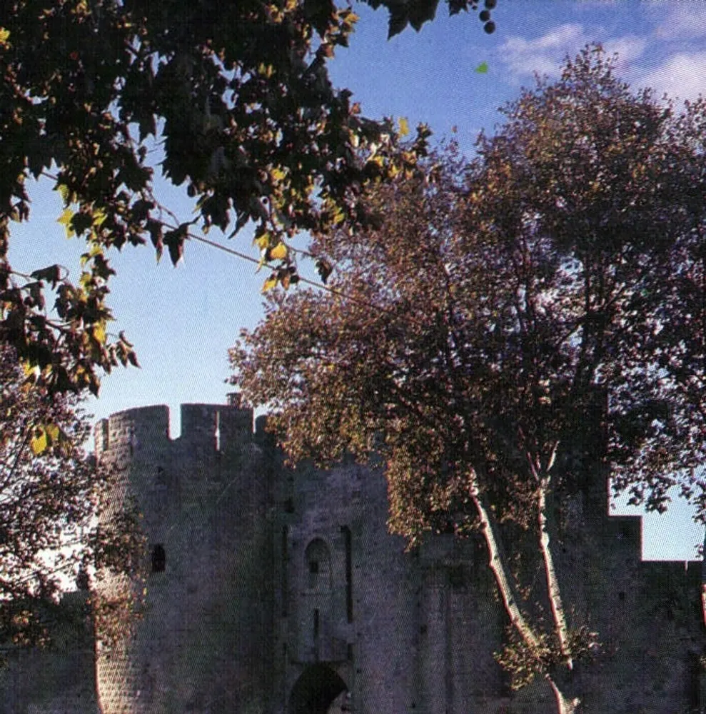 Castelo de Aigues-Mortes — vista parcial — Foto Rancurel - Aigues-Mortes, n°05 - Frente