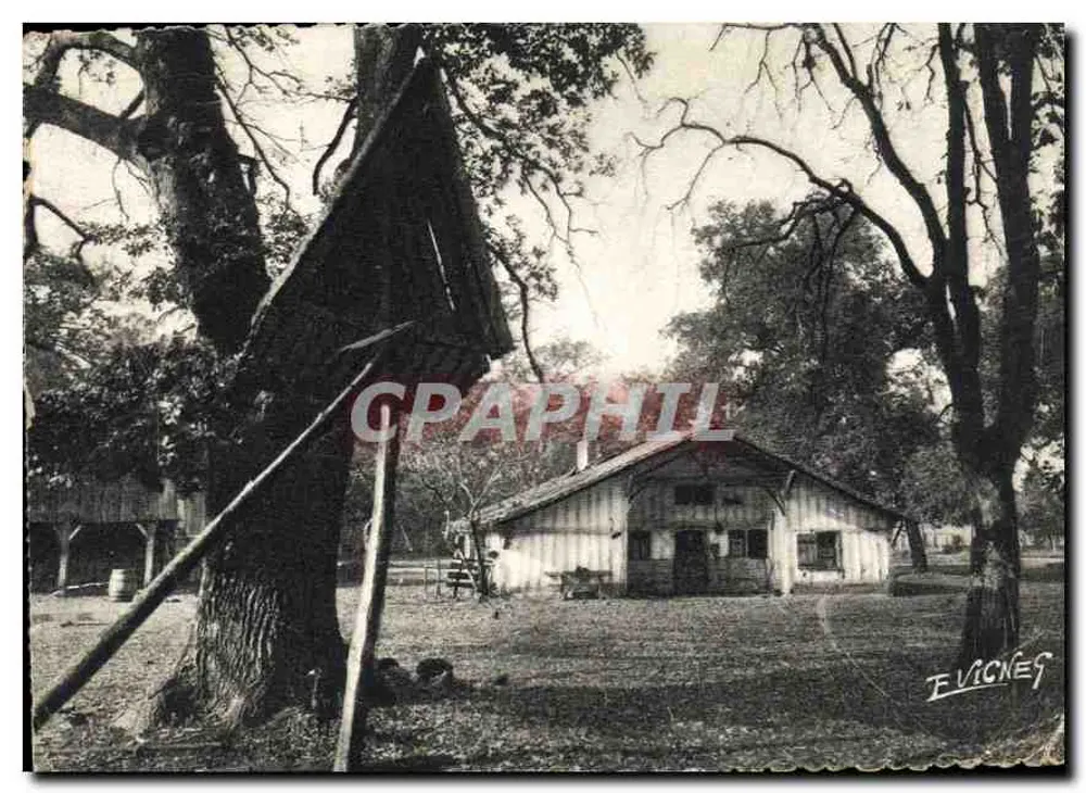Landaise-Haus und dessen Hühnerstall — In Guyenne-Gascogne — Verlag E. VICKNEY - Vorderseite