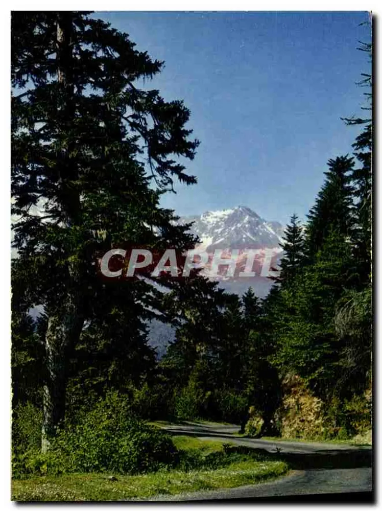 A Estrada dos Pirineus no Col d'Aspin — Compagnie des Arts Photographiques - Frente