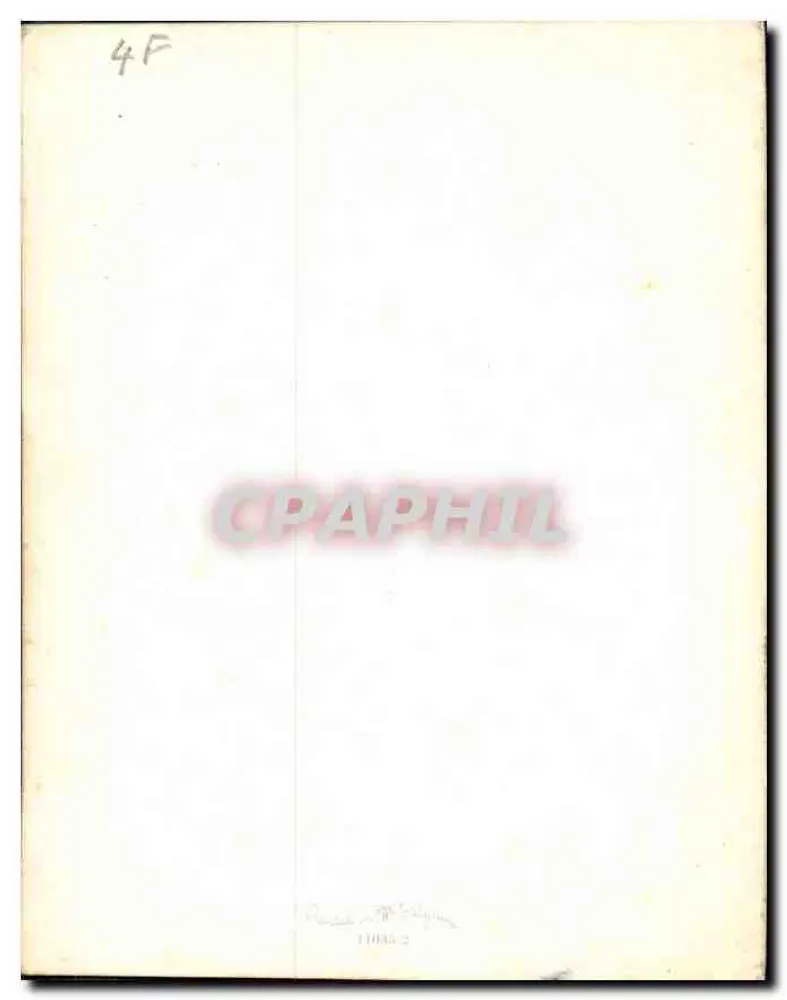Arranjo de margaridas e flores azuis — em um vaso — editor Belga, n° 4F - Verso