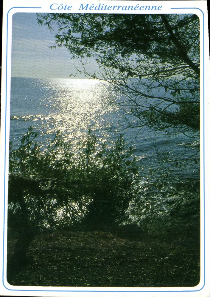 Costa mediterránea — vista del mar al sol — Ediciones S.E.P.T. - 45/454 - Anverso