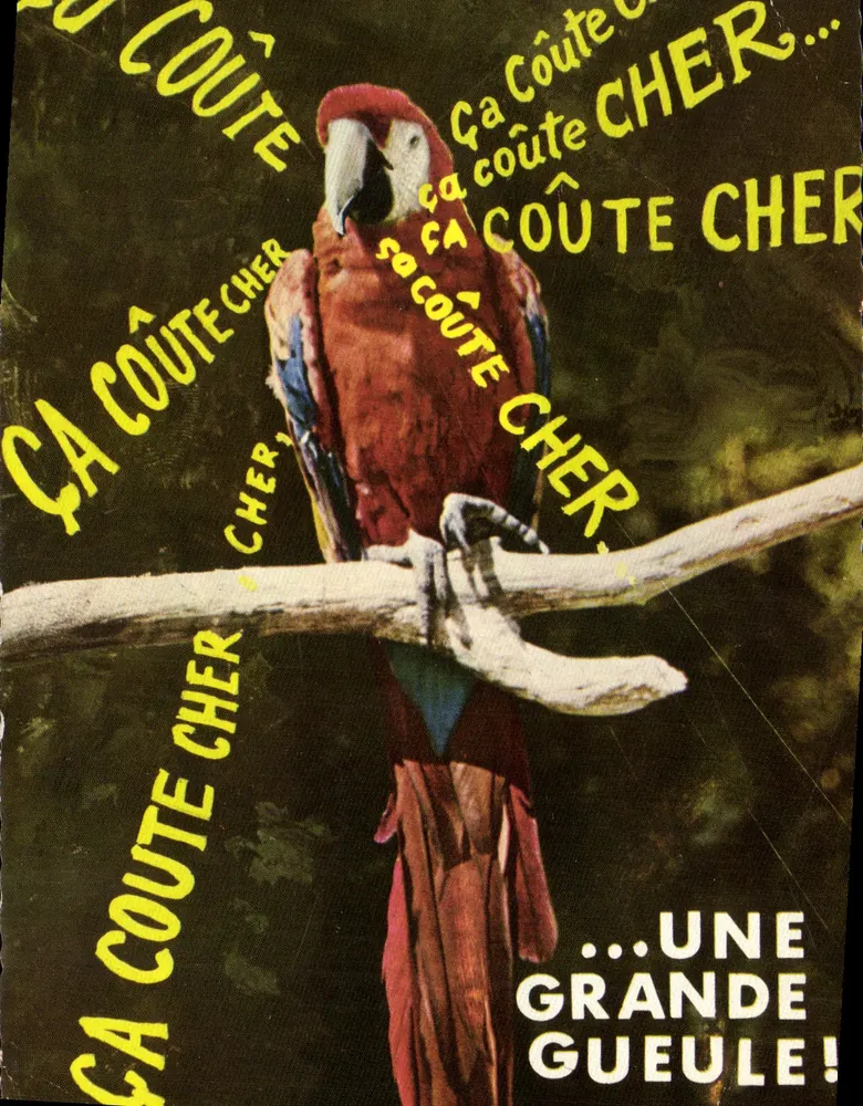 Macaw — humoristische Werbung — Combiérier Imprimeur, Châtel - Vorderseite