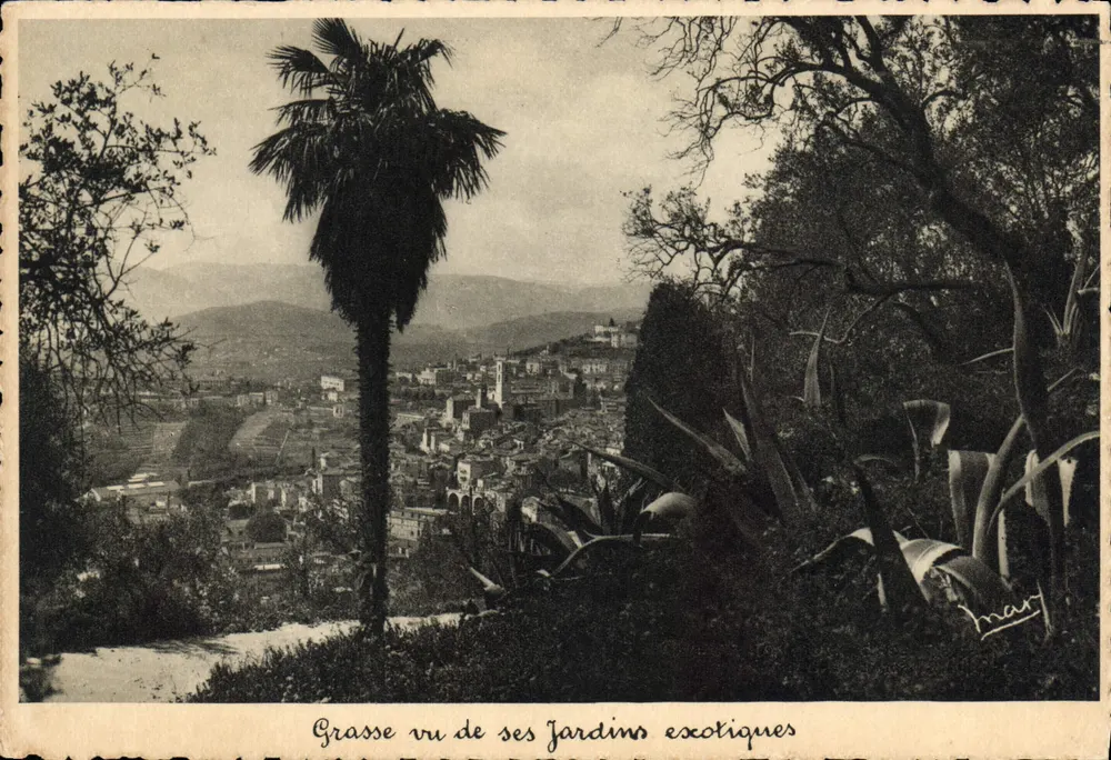 Grasse uitzicht vanuit zijn exotische tuinen — Luxe-uitgaven, n° 485 - Voorkant