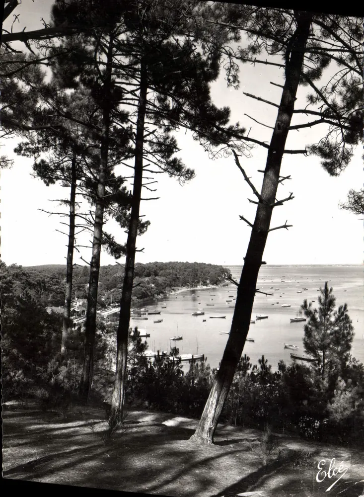 Bassin d'Arcachon — Ansicht von den Kiefern — Eliez - Vorderseite