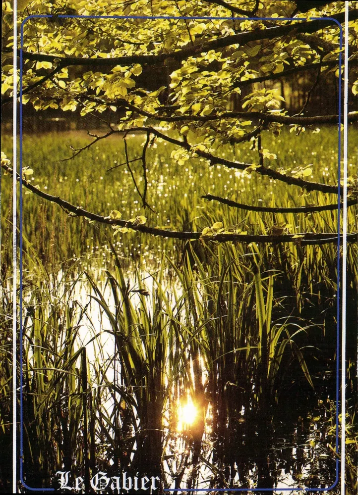 Le Gabier — Moorlandschaft in der Sonne — Pierre Artaud & Cie - Vorderseite