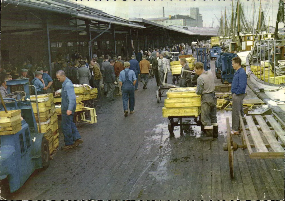 Göteborg. Fiskhamnen — port de pêche — imprimé sur la carte - Frente