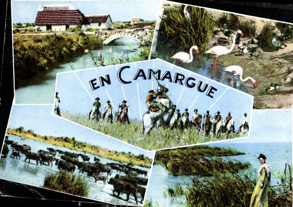 Em Camargue — vista panorâmica — Éditions S.L. Lyon Milleurbanne, n° 10.136 - Frente