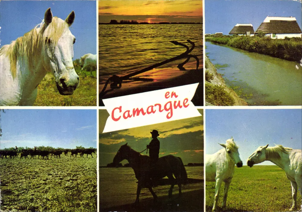 Camargue — paisagem, cavalos e pescadores — Edições Maganta, n°10.088 - Frente