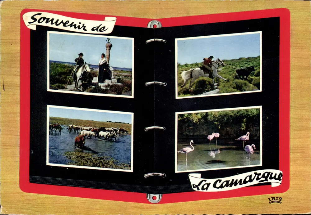 La Camargue — Erinnerung an — Verlag IRIS, n° 13.200/144 - Vorderseite
