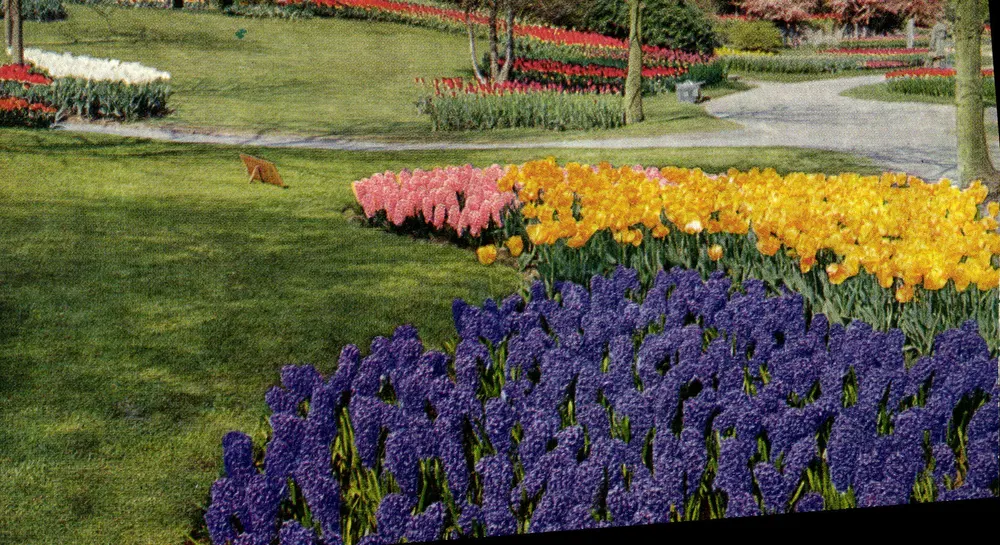 Garten von Keukenhof — Lisse, Holland — Verlag Planet a L. Blok, Nr. 1081 - Vorderseite