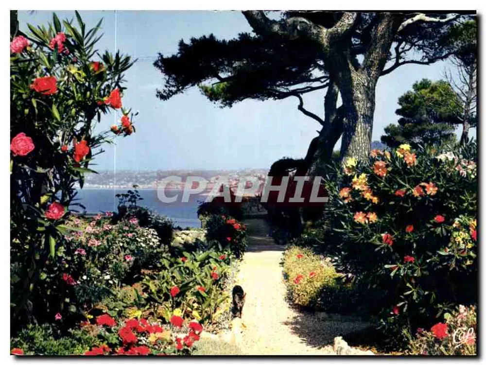 Blütenbeet am Cap-Ferrat — Editions de diffusion NICE, Nr. (66) - Vorderseite