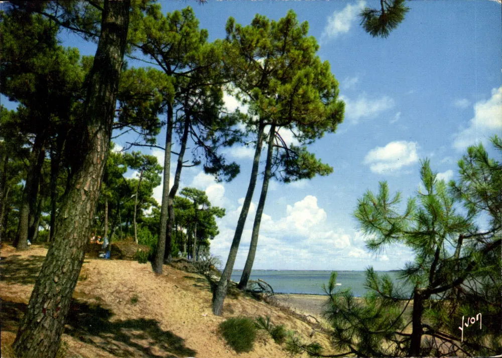 Pointe de Saint-Trojan — Île d'Oléron — Éditions d'Art Yvon - Vorderseite