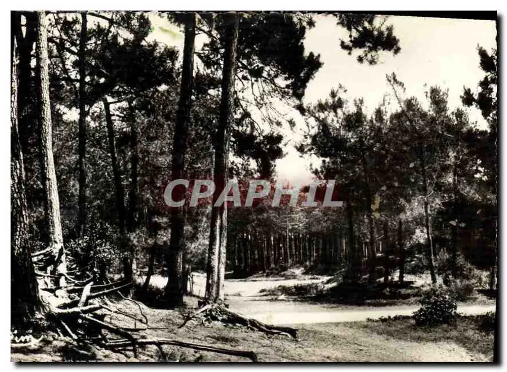 Ronce-les-Bains (Charente-Inf.) — Wandelen naar de Strand — Antieke ansichtkaart - Voorkant