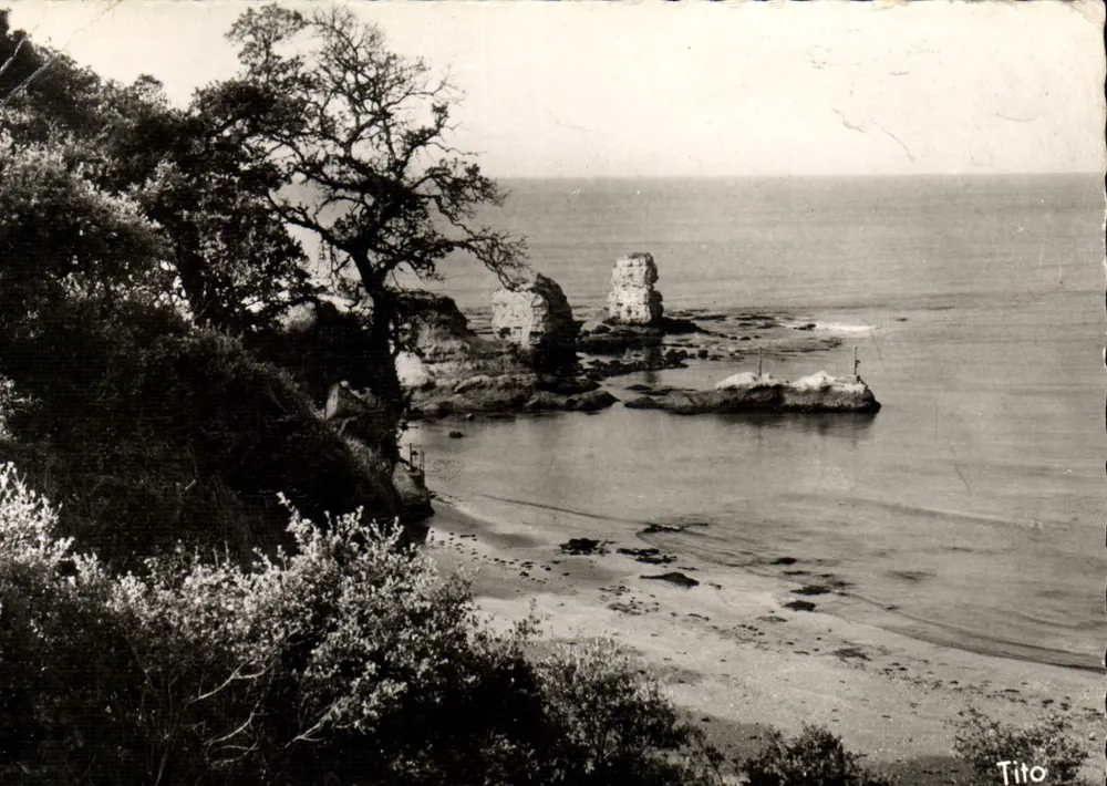 Playa de Saint-Georges-de-Didonne — vista costera — Tito - Anverso