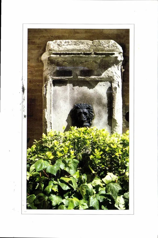 Fonte do velho Toulouse — cabeça de leão — editor Résidence Garannie La Belle - Frente