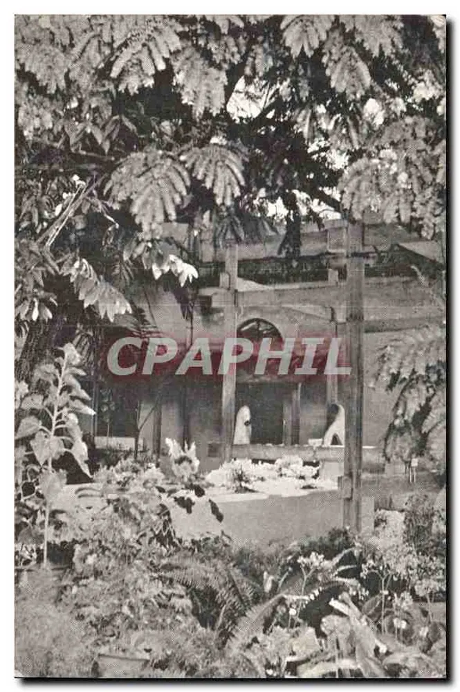 अश्रम के बगीचा - श्री आउरोबिंदो के समाधि, पॉंडिचेरी, भारत - आगे