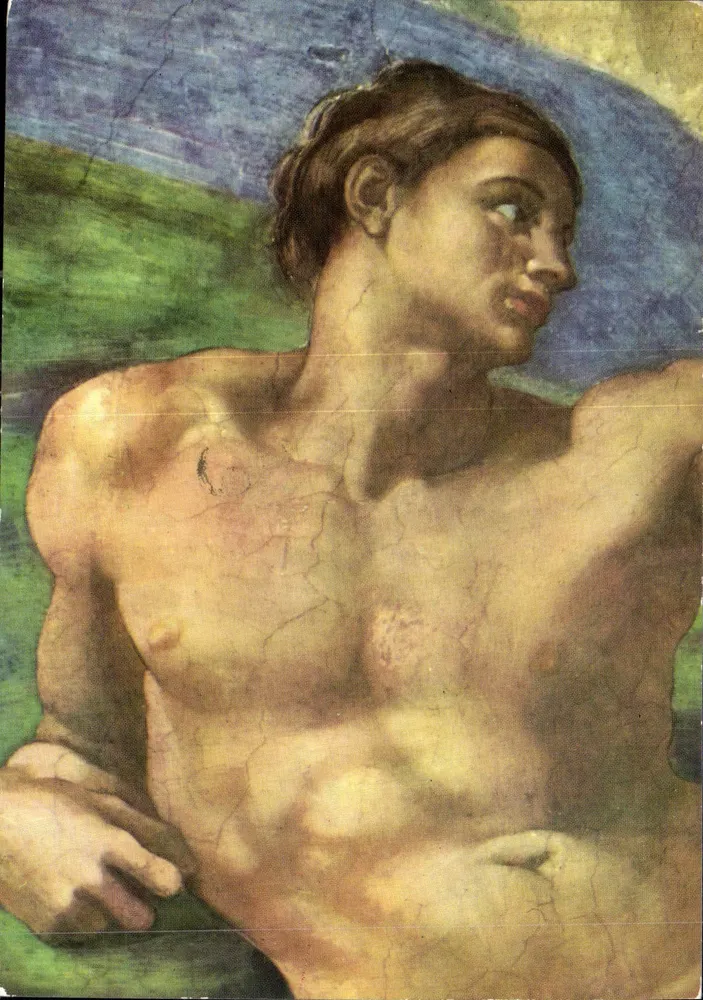 A Criação do homem — detalhe — DA FOTO BRUNO DEL PRIORE, n°69 - Frente
