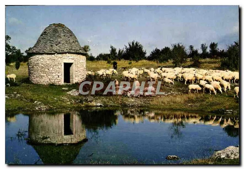 Nahe Gramat — Schäferhütte und Caussenard-Schafe — Éditions de Larrieu - Vorderseite