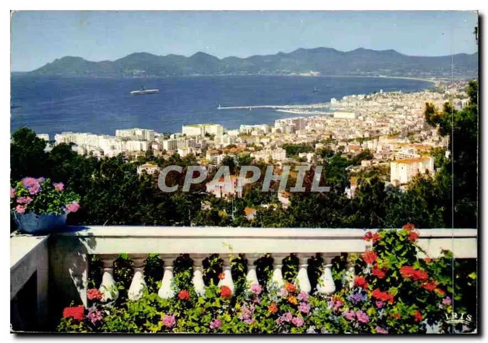 Cannes — Vista geral — Edições MARA 4, n° 801 - Frente