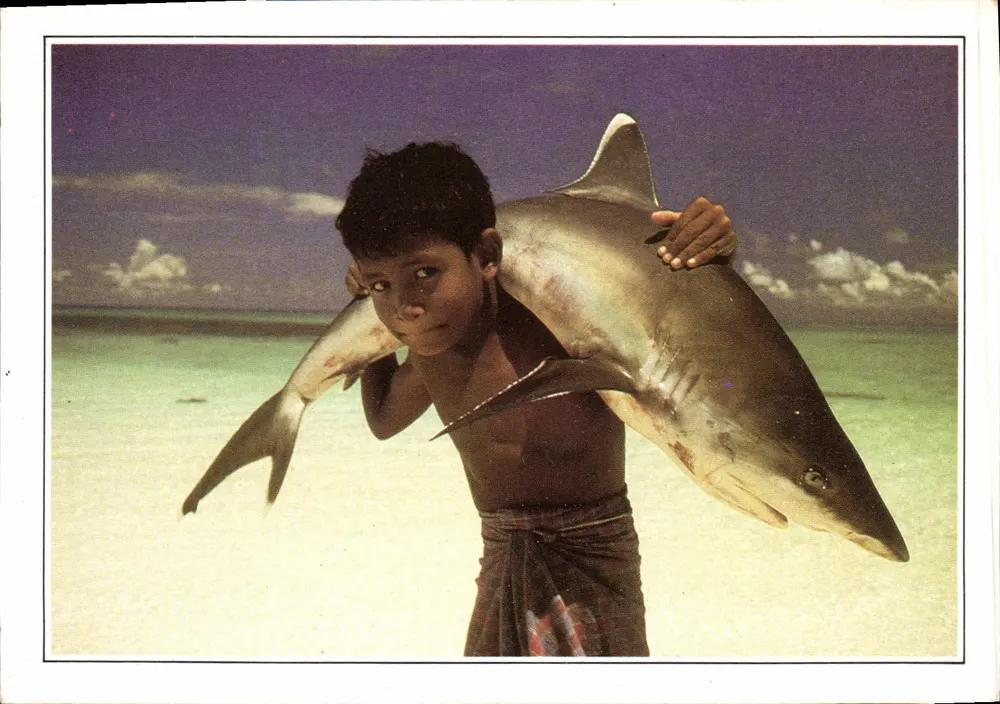 Maldiven — Witpuntshaai — Maldiven Eilanden XV-C1 - Voorkant