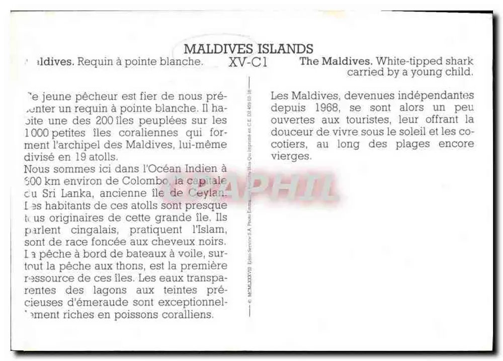 Maldiven — Witpuntshaai — Maldiven Eilanden XV-C1 - Achterkant