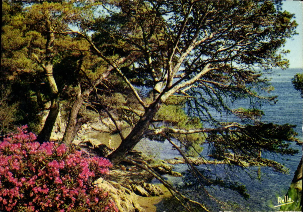 A Costa Azul — Bord de mer — Edições Rella - Frente