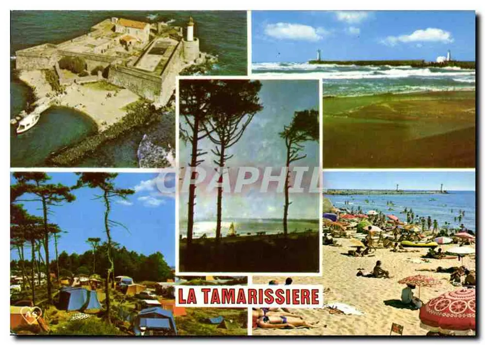 La Tamarissière — Editor: Sociedade das Cartas Postais APA-POUX DE COEUR, n° 34300-S.181 - Frente