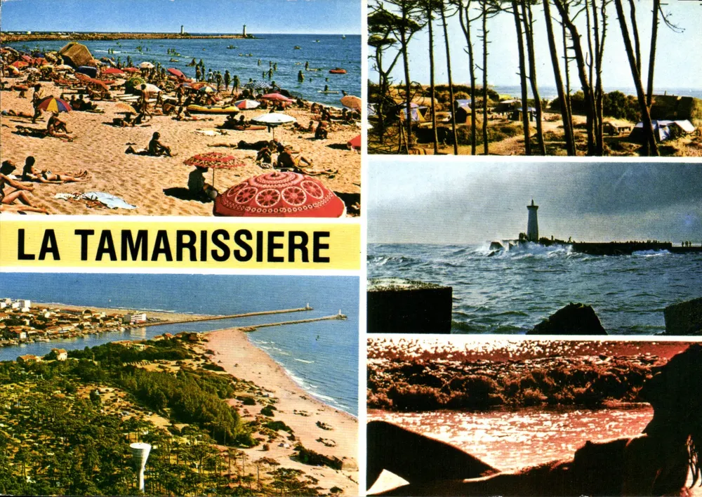 La Tamarissière — Strand, Leuchtturm und Küstenlandschaft — APA-FOUX - ALBI, Société des Cartes Postales, Verfahren 81 - Vorderseite