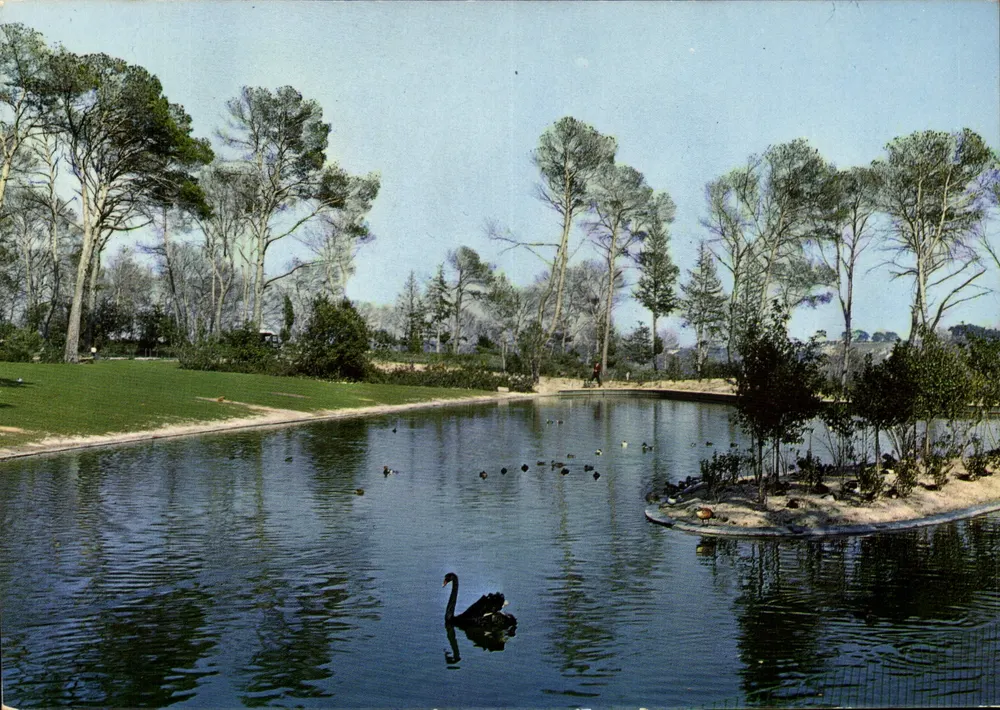 Le Parc Lunaret — Montpellier (Hérault) — Verlag P. A. Léon, n° 34 - Vorderseite